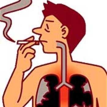 اثرات دود سیگار بر روی سیستم تنفس انسان ؟ 