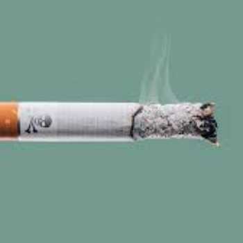 سیگار بر کدام‌یک از ارگان‌های بدن اثر سوء می‌گذارد؟