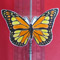 (پروانه ی درخشان)Shimmering Butterfly